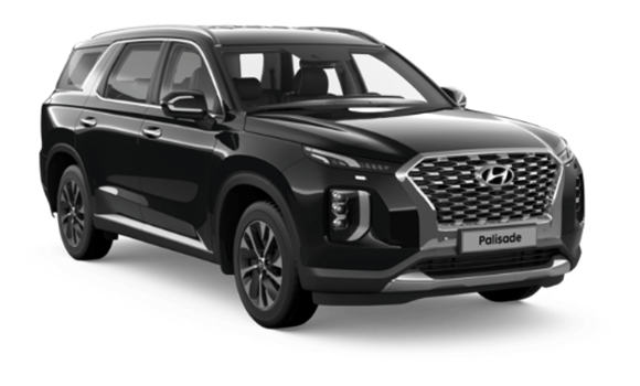 Hyundai Palisade I — Черный